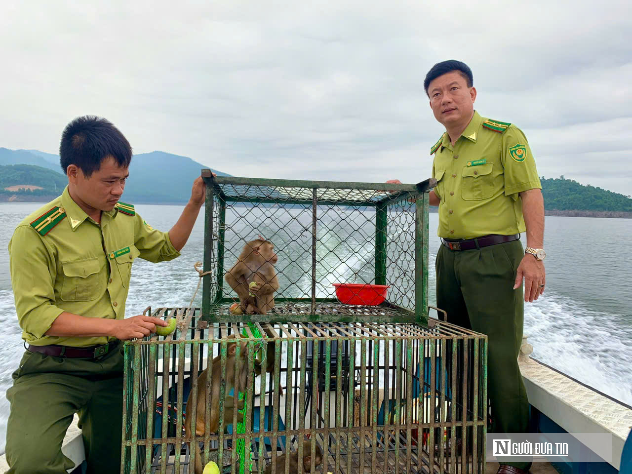 Khám phá đảo khỉ giữa lòng hồ Ngàn Trươi- Ảnh 8. Khám phá đảo khỉ giữa lòng hồ Ngàn Trươi- Ảnh 8.