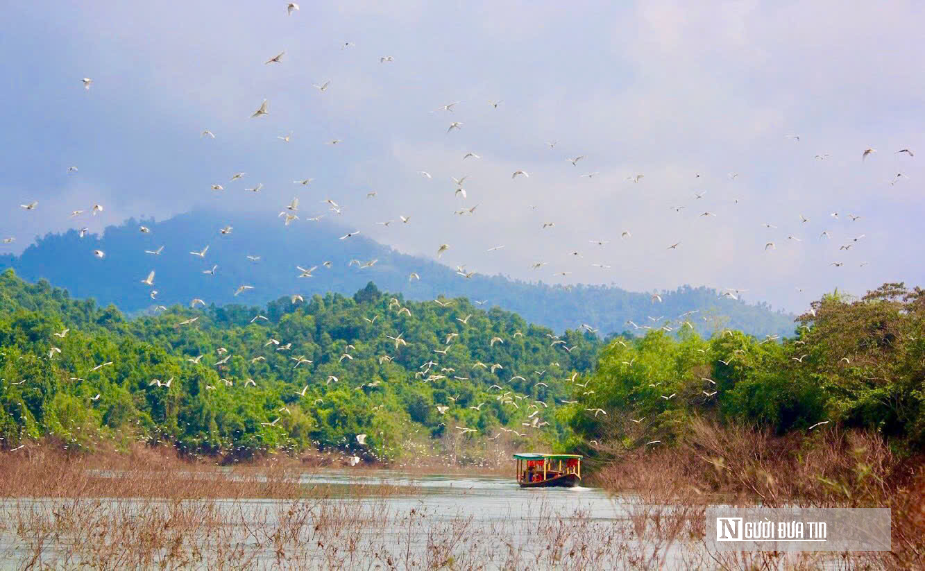Khám phá đảo khỉ giữa lòng hồ Ngàn Trươi- Ảnh 13. Khám phá đảo khỉ giữa lòng hồ Ngàn Trươi- Ảnh 13.