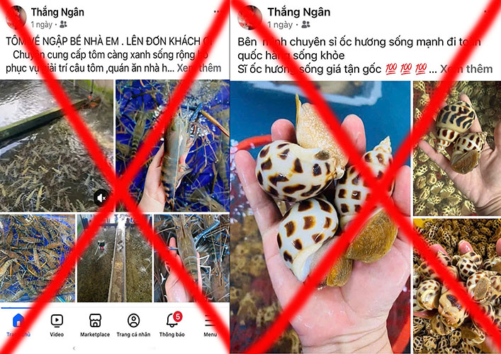 Khởi tố cặp vợ chồng lừa đảo bán hải sản "tươi ngon, giá rẻ"- Ảnh 2. Khởi tố cặp vợ chồng lừa đảo bán hải sản "tươi ngon, giá rẻ"- Ảnh 2.