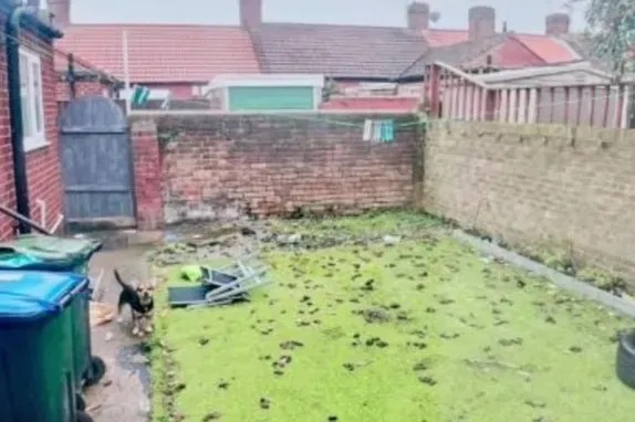 Khu vườn phía sau ngôi nhà dường như được bao phủ bởi phân chó. Khu vườn phía sau ngôi nhà dường như được bao phủ bởi phân chó.
