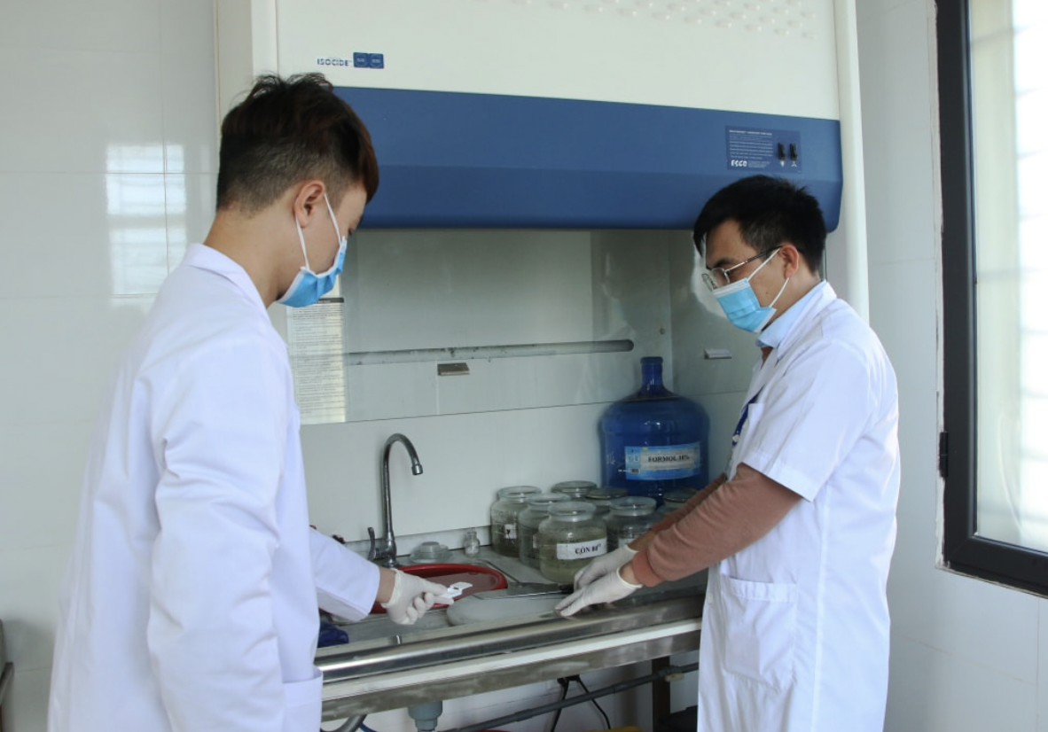 Tăng quyền cho Sở Y tế tỉnh trong công tác giám định tư pháp- Ảnh 1. Tăng quyền cho Sở Y tế tỉnh trong công tác giám định tư pháp- Ảnh 1.