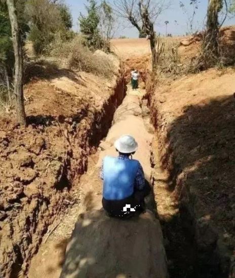 Đang làm ruộng, lão nông bất ngờ phát hiện khúc gỗ trị giá 600 tỷ đồng- Ảnh 1. Đang làm ruộng, lão nông bất ngờ phát hiện khúc gỗ trị giá 600 tỷ đồng- Ảnh 1.