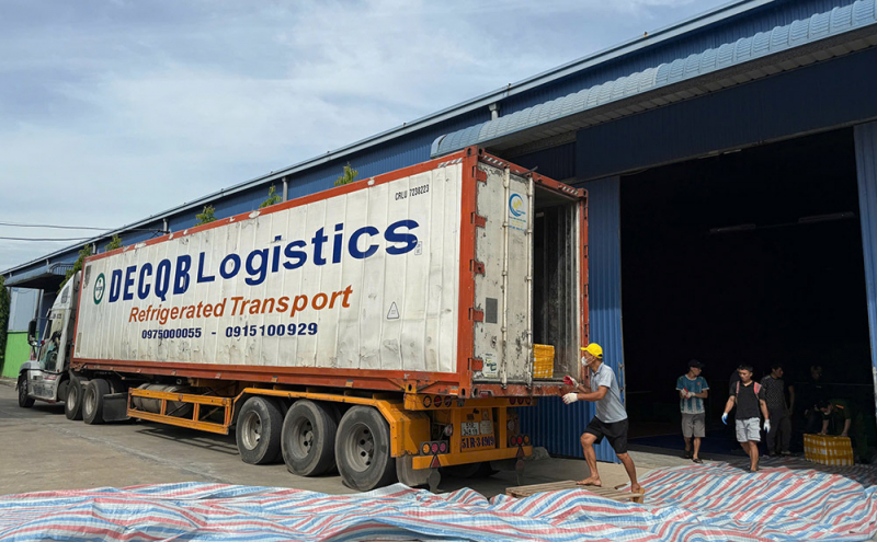 Phát hiện hơn 20 tấn nội tạng bốc mùi giấu trong container- Ảnh 2. Phát hiện hơn 20 tấn nội tạng bốc mùi giấu trong container- Ảnh 2.