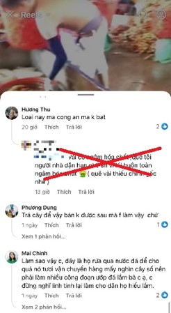 Xử lý hành vi đăng tải thông tin giả, sai sự thật về vải thiều- Ảnh 2.