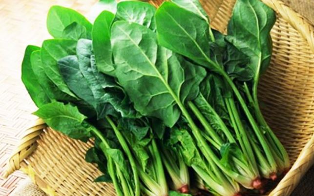 4 loại rau tốt nhất, giúp ngăn ngừa ung thư- Ảnh 1. 4 loại rau tốt nhất, giúp ngăn ngừa ung thư- Ảnh 1.