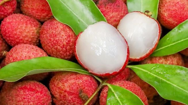 Ăn hơn 100 quả vải, người phụ nữ phải nhập viện cấp cứu- Ảnh 1. Ăn hơn 100 quả vải, người phụ nữ phải nhập viện cấp cứu- Ảnh 1.