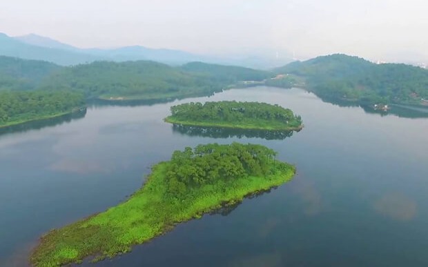Giải Vô địch Golf Quốc gia - Gia Lai 2025 có 125 vận động viên tham gia tranh tài- Ảnh 3.