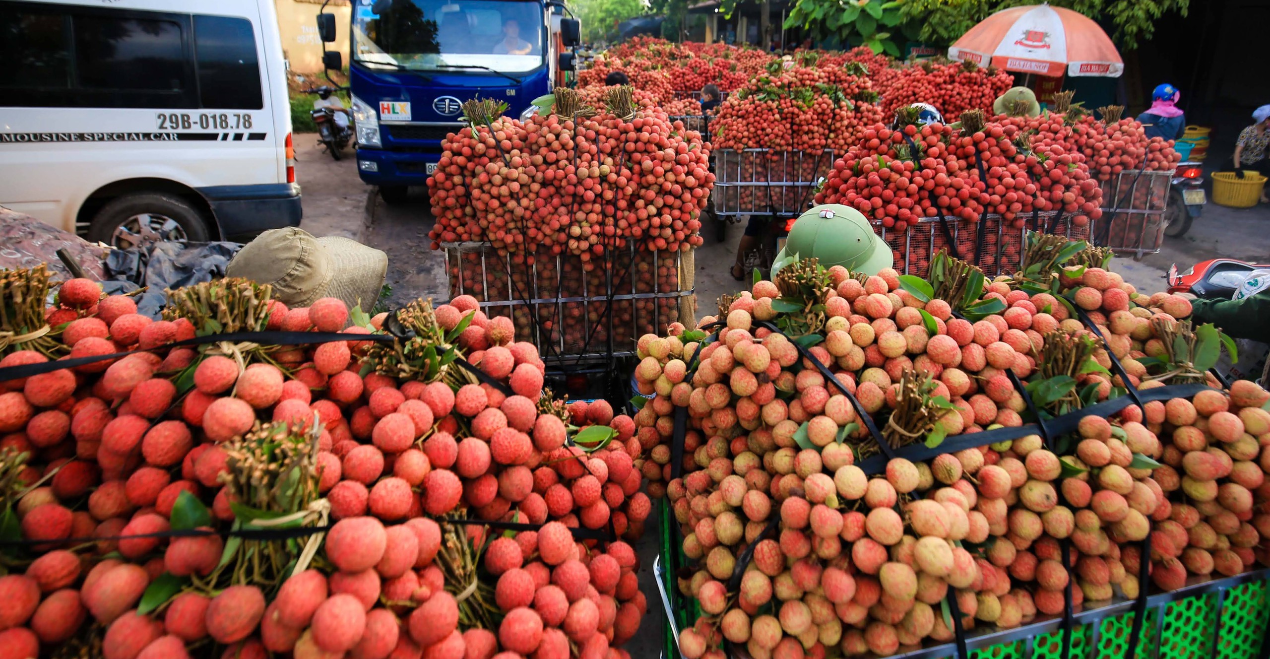 [E] Ngành nông nghiệp và môi trường phải bứt phá bằng tư duy mới và công nghệ cao- Ảnh 7.