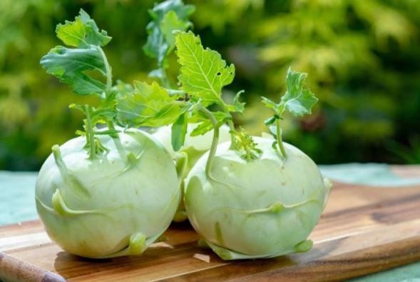 4 loại rau mùa hè dễ "ngậm" hóa chất nhất chợ, nhất là cái số 1- Ảnh 3. 4 loại rau mùa hè dễ "ngậm" hóa chất nhất chợ, nhất là cái số 1- Ảnh 3.