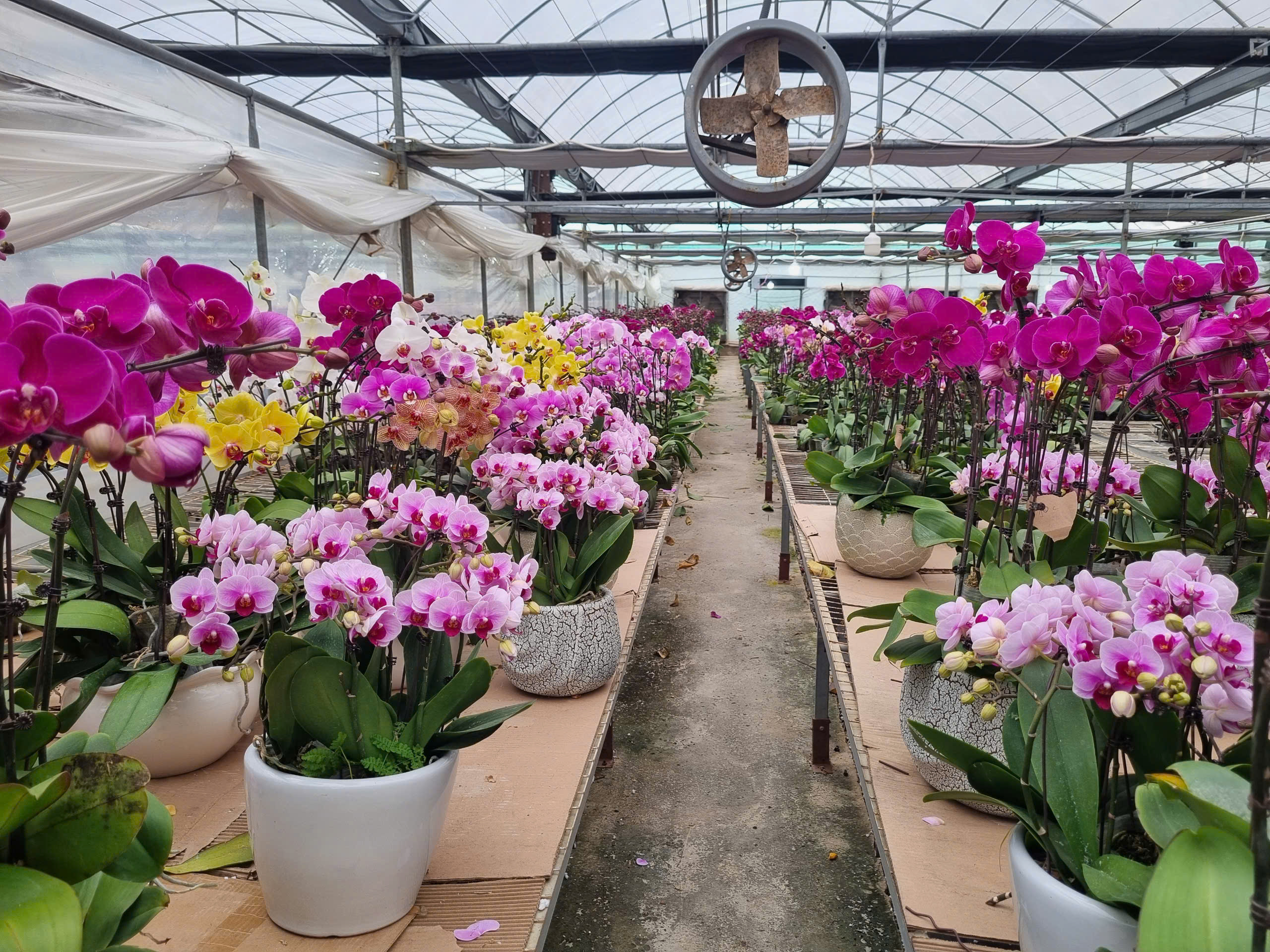 Quảng Ninh đi đầu xây dựng NTM và giảm nghèo- Ảnh 1. Quảng Ninh đi đầu xây dựng NTM và giảm nghèo- Ảnh 1.