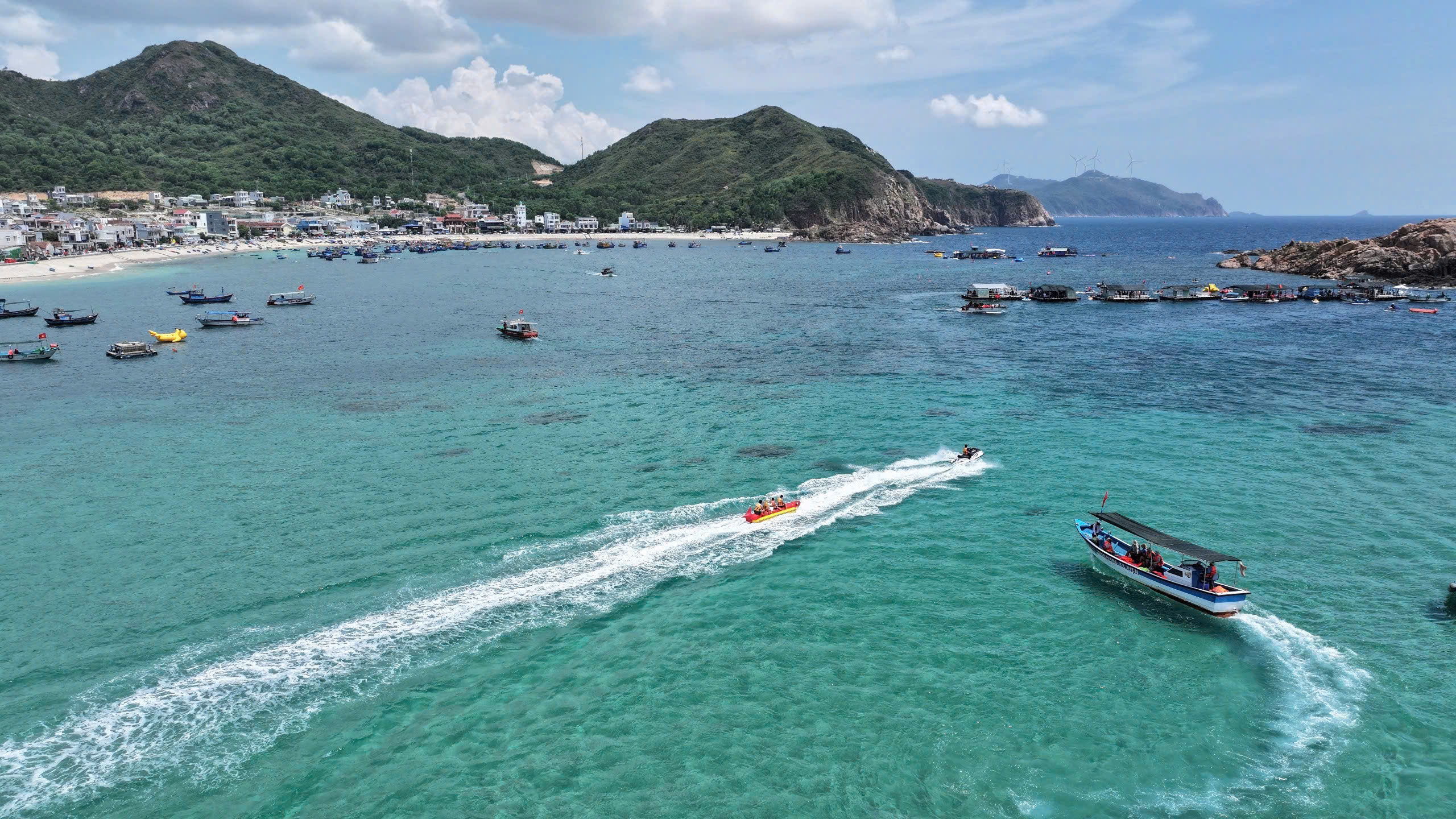 Khám phá vẻ đẹp quyến rũ của "cánh đồng rong mơ" trên biển Nhơn Hải- Ảnh 2. Khám phá vẻ đẹp quyến rũ của "cánh đồng rong mơ" trên biển Nhơn Hải- Ảnh 2.