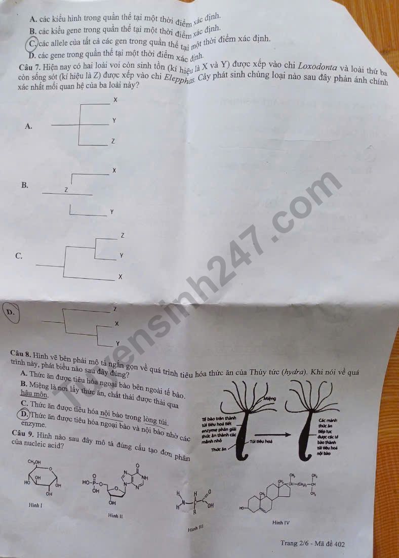 Bí quyết học và ôn thi môn Sinh học tốt nghiệp THPT 2025 đạt điểm cao- Ảnh 2. Bí quyết học và ôn thi môn Sinh học tốt nghiệp THPT 2025 đạt điểm cao- Ảnh 2.