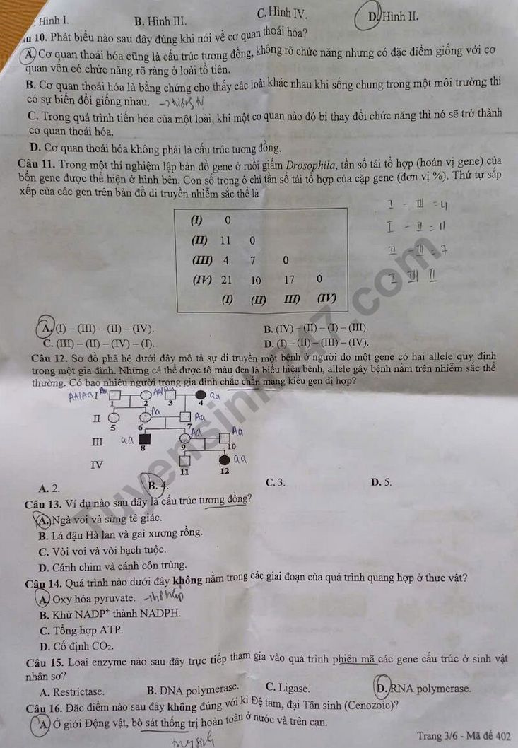 Bí quyết học và ôn thi môn Sinh học tốt nghiệp THPT 2025 đạt điểm cao- Ảnh 3. Bí quyết học và ôn thi môn Sinh học tốt nghiệp THPT 2025 đạt điểm cao- Ảnh 3.