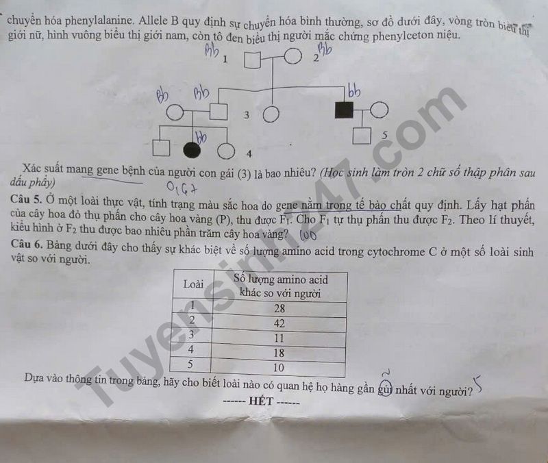 Bí quyết học và ôn thi môn Sinh học tốt nghiệp THPT 2025 đạt điểm cao- Ảnh 6. Bí quyết học và ôn thi môn Sinh học tốt nghiệp THPT 2025 đạt điểm cao- Ảnh 6.
