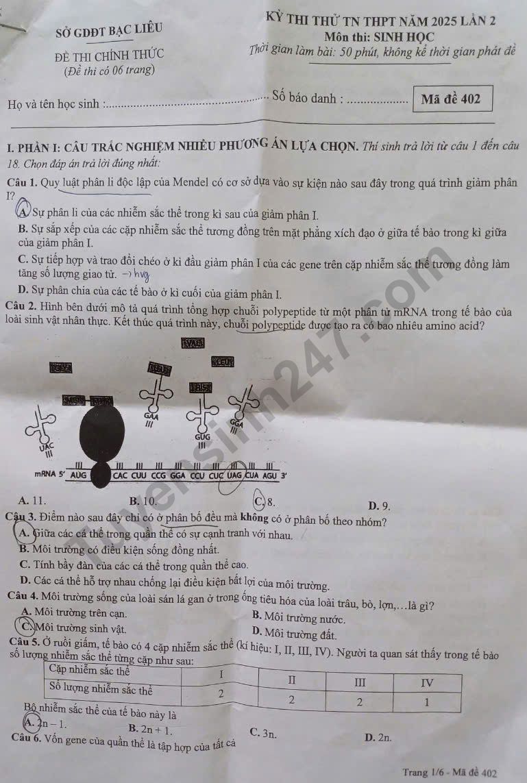 Bí quyết học và ôn thi môn Sinh học tốt nghiệp THPT 2025 đạt điểm cao- Ảnh 1. Bí quyết học và ôn thi môn Sinh học tốt nghiệp THPT 2025 đạt điểm cao- Ảnh 1.