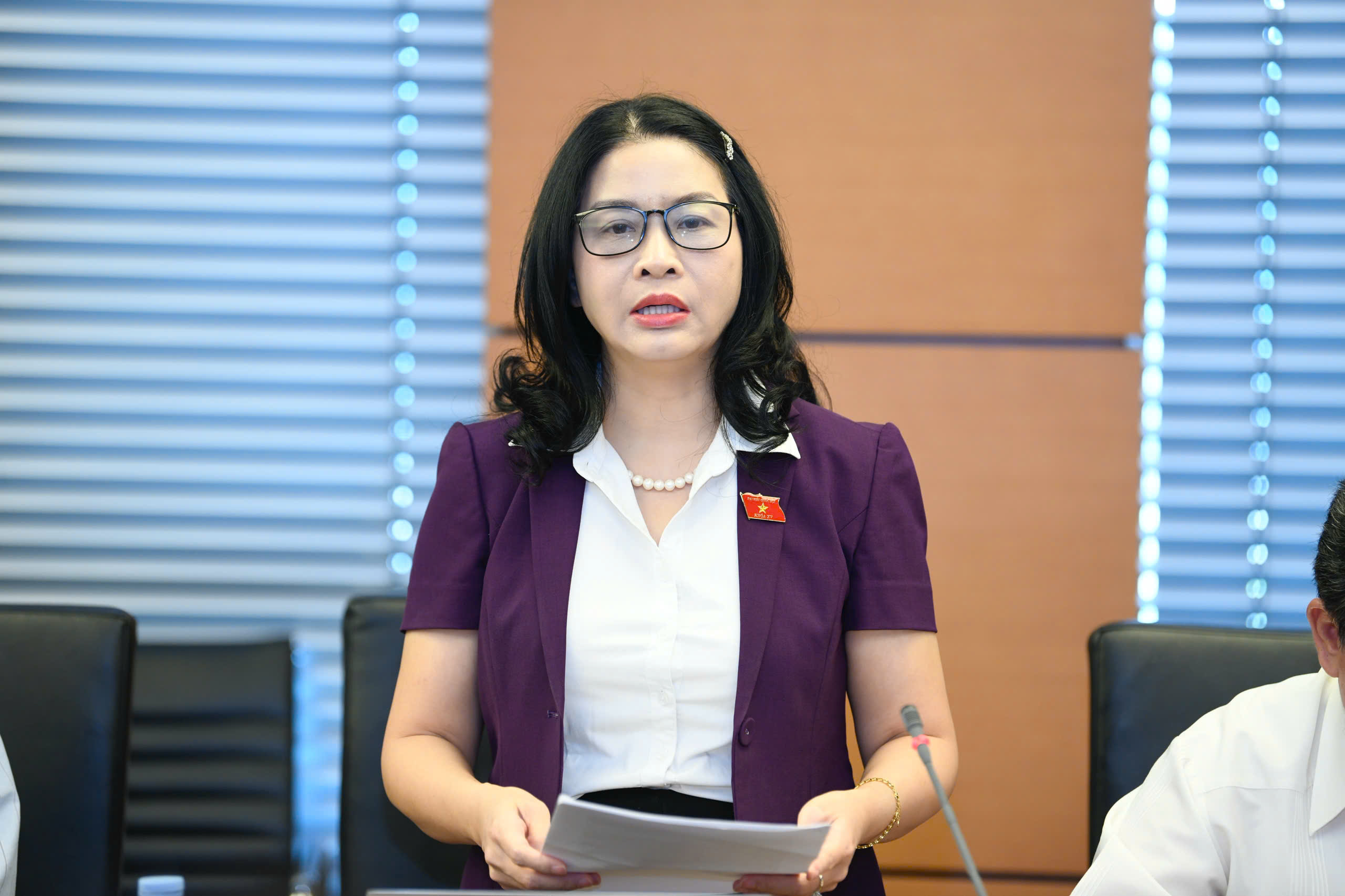 ĐBQH nêu lý do cần thiết ban hành Luật Tình trạng khẩn cấp- Ảnh 2. ĐBQH nêu lý do cần thiết ban hành Luật Tình trạng khẩn cấp- Ảnh 2.