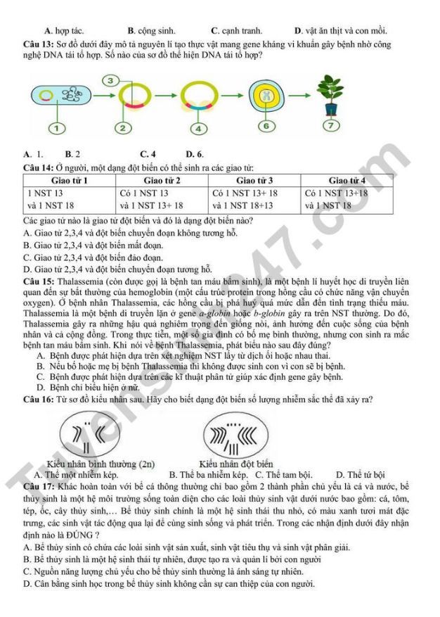 Bí quyết học và ôn thi môn Sinh học tốt nghiệp THPT 2025 đạt điểm cao- Ảnh 9. Bí quyết học và ôn thi môn Sinh học tốt nghiệp THPT 2025 đạt điểm cao- Ảnh 9.