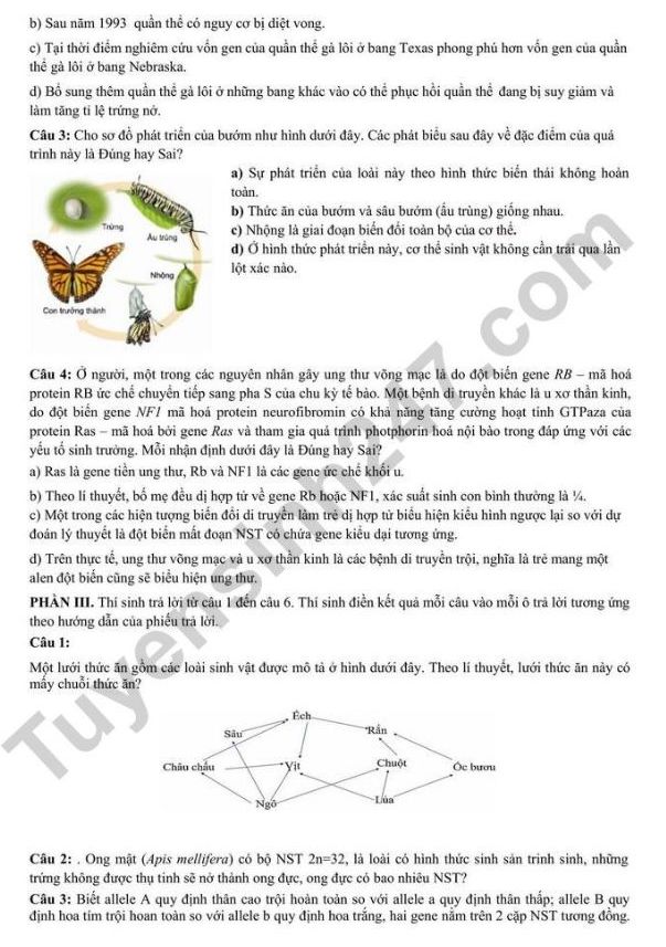 Bí quyết học và ôn thi môn Sinh học tốt nghiệp THPT 2025 đạt điểm cao- Ảnh 11. Bí quyết học và ôn thi môn Sinh học tốt nghiệp THPT 2025 đạt điểm cao- Ảnh 11.