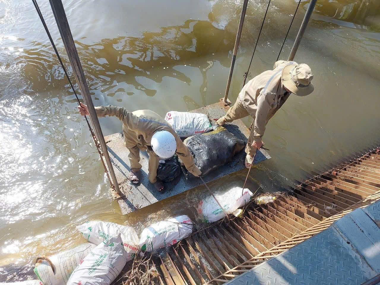 Phát hiện hàng loạt xác động vật đang phân hủy nổi trên kênh dẫn nước- Ảnh 2. Phát hiện hàng loạt xác động vật đang phân hủy nổi trên kênh dẫn nước- Ảnh 2.