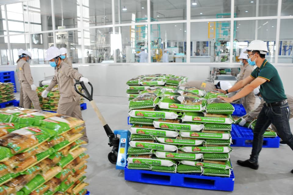Lãnh đạo cấp cao Vinaseed xin nghỉ hưu trước tuổi- Ảnh 2. Lãnh đạo cấp cao Vinaseed xin nghỉ hưu trước tuổi- Ảnh 2.