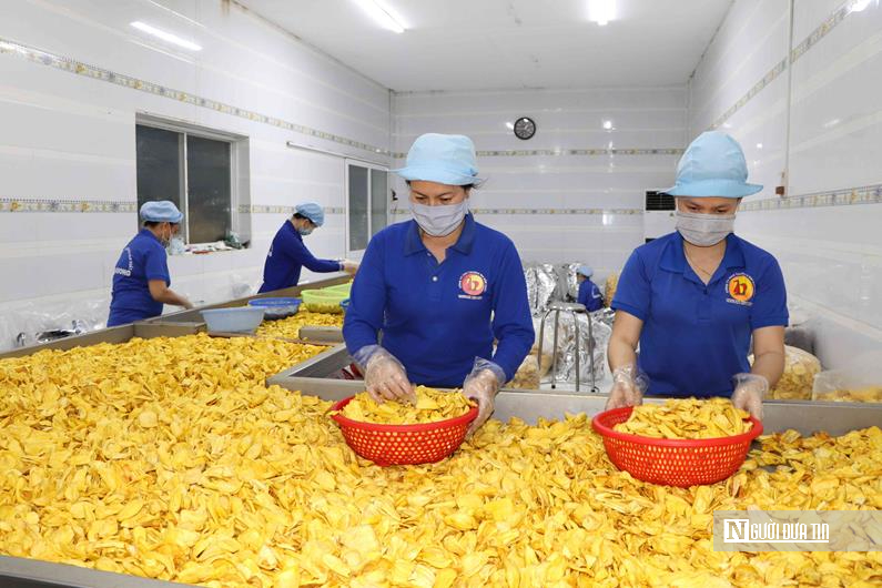 Nâng tầm nông sản Đồng Nai – Kỳ 2: Tái cấu trúc nông nghiệp để vượt "điểm nghẽn" - Ảnh 2. Nâng tầm nông sản Đồng Nai – Kỳ 2: Tái cấu trúc nông nghiệp để vượt "điểm nghẽn" - Ảnh 2.