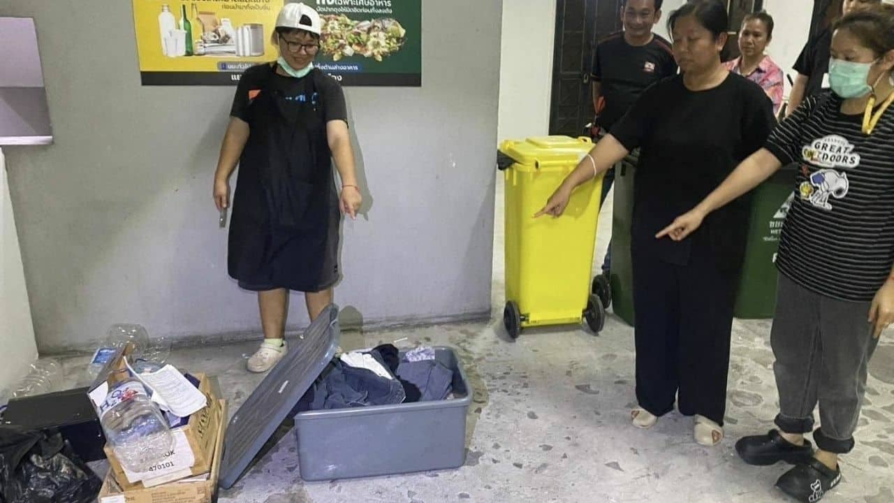 Nhặt chiếc thùng nhựa gần bãi rác, người phụ nữ hoảng hốt khi nhìn thấy 9,5 tỷ đồng- Ảnh 1. Nhặt chiếc thùng nhựa gần bãi rác, người phụ nữ hoảng hốt khi nhìn thấy 9,5 tỷ đồng- Ảnh 1.