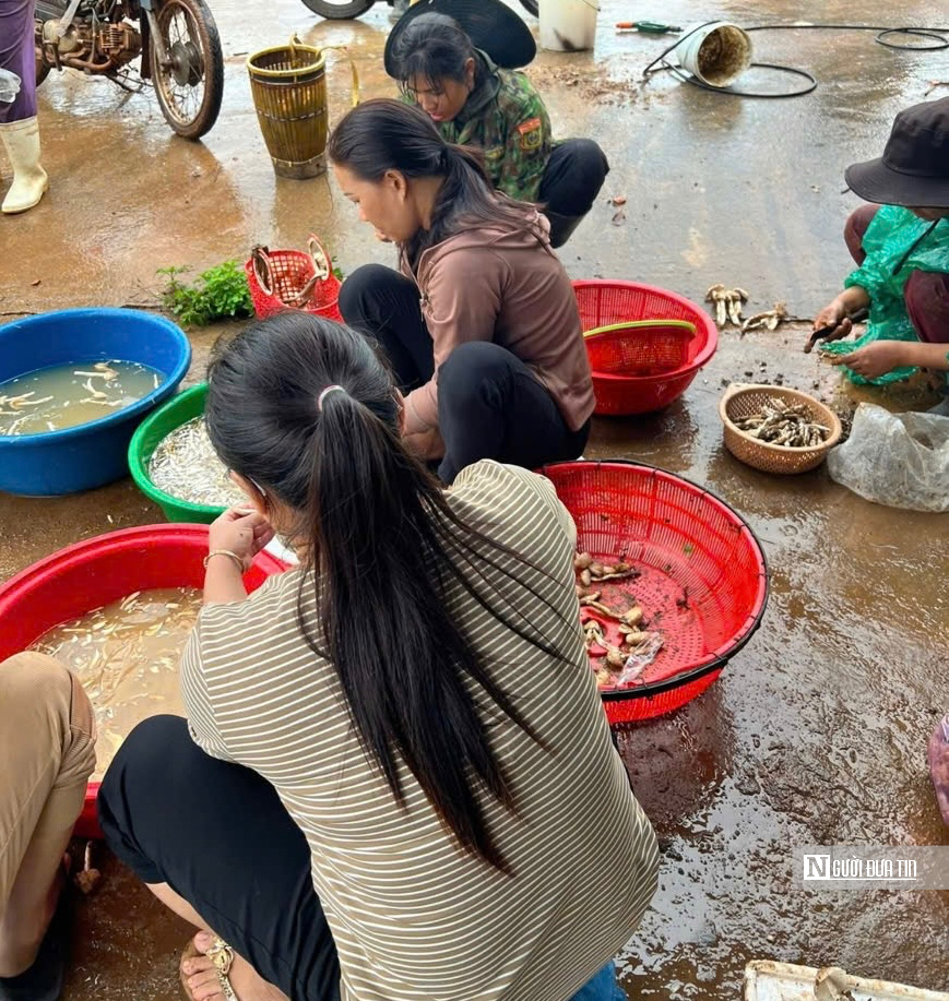 Kiếm tiền triệu mỗi ngày nhờ “lộc trời”- Ảnh 2. Kiếm tiền triệu mỗi ngày nhờ “lộc trời”- Ảnh 2.