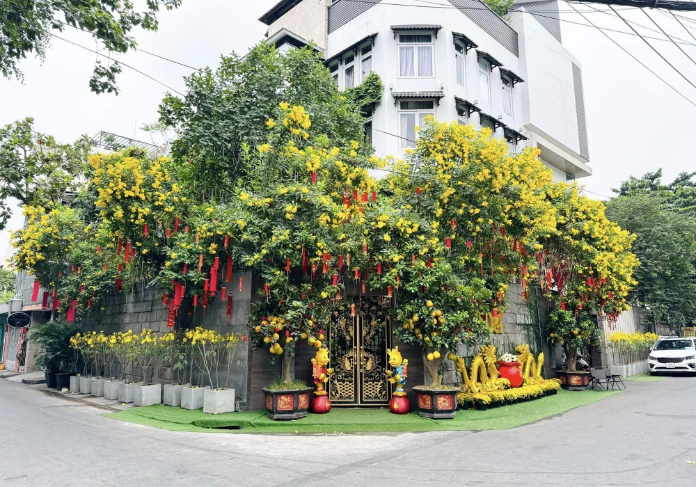 Lý do bất ngờ khiến Đàm Vĩnh Hưng rao bán biệt thự triệu đô- Ảnh 1. Lý do bất ngờ khiến Đàm Vĩnh Hưng rao bán biệt thự triệu đô- Ảnh 1.
