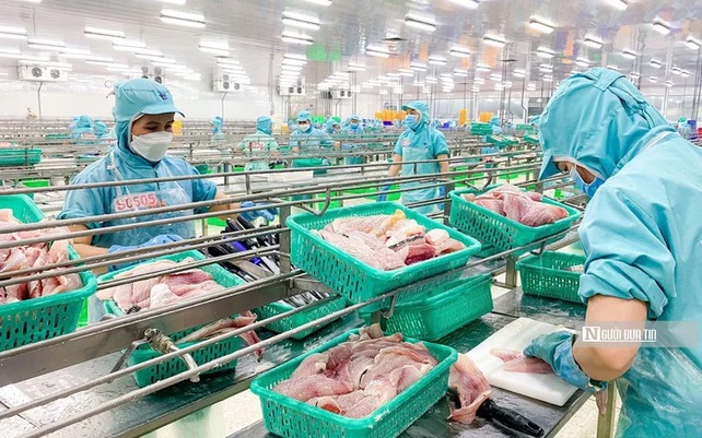 Ngành thủy sản rơi vào “vùng trũng” trong tháng 5/2025- Ảnh 1. Ngành thủy sản rơi vào “vùng trũng” trong tháng 5/2025- Ảnh 1.