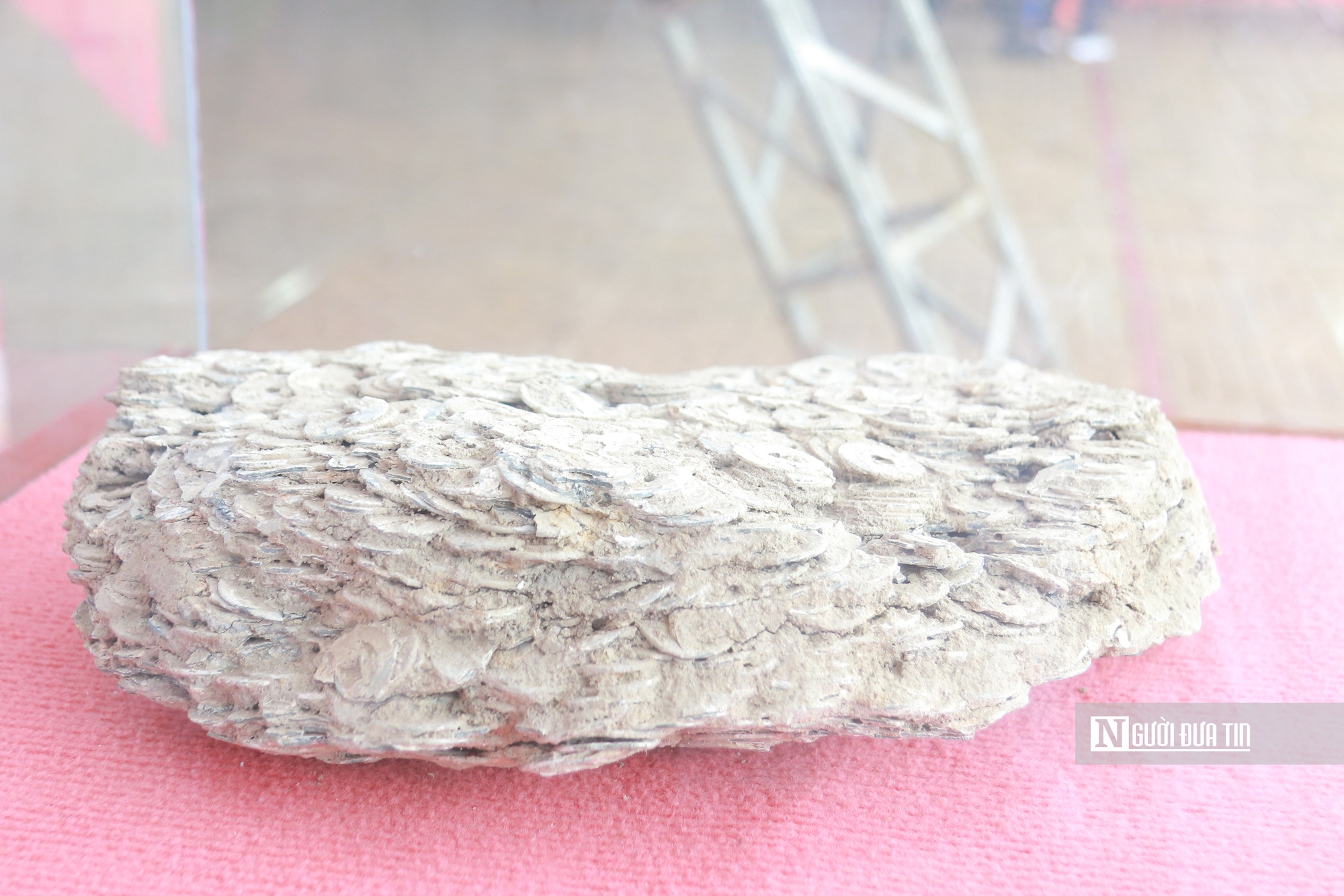 Những hiện vật kể chuyện vùng biển giữa đại ngàn- Ảnh 16. Những hiện vật kể chuyện vùng biển giữa đại ngàn- Ảnh 16.