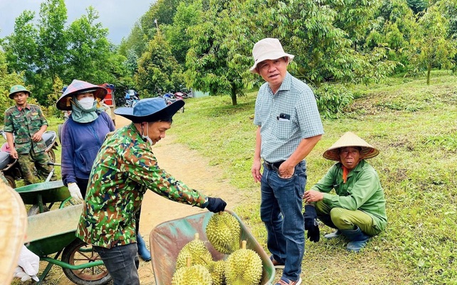 HAGL muốn phát hành cổ phiếu để xử lý nợ trái phiếu- Ảnh 1. HAGL muốn phát hành cổ phiếu để xử lý nợ trái phiếu- Ảnh 1.