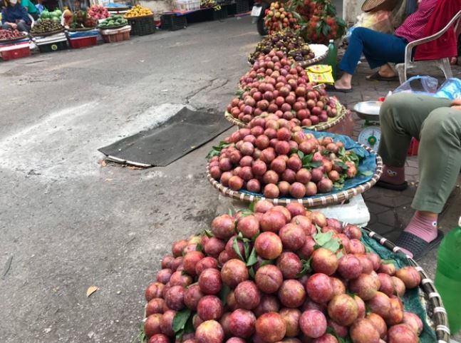 "2 không" khi ăn mận, biết mà tránh kẻo rước hoạ- Ảnh 1. "2 không" khi ăn mận, biết mà tránh kẻo rước hoạ- Ảnh 1.