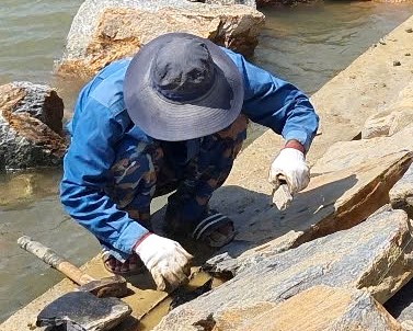 Dự án 125 tỷ đồng chống sạt lở ở Đà Nẵng “kẹt” vật liệu, vướng mặt bằng- Ảnh 3. Dự án 125 tỷ đồng chống sạt lở ở Đà Nẵng “kẹt” vật liệu, vướng mặt bằng- Ảnh 3.