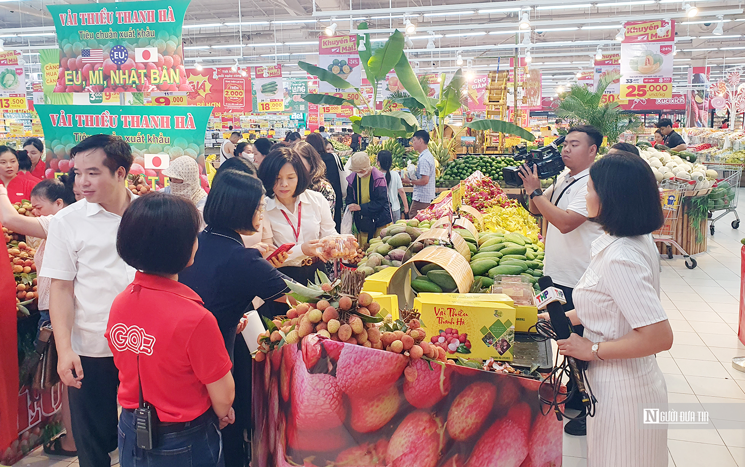 Vải Hải Dương lên kệ siêu thị tại Hải Phòng- Ảnh 2. Vải Hải Dương lên kệ siêu thị tại Hải Phòng- Ảnh 2.