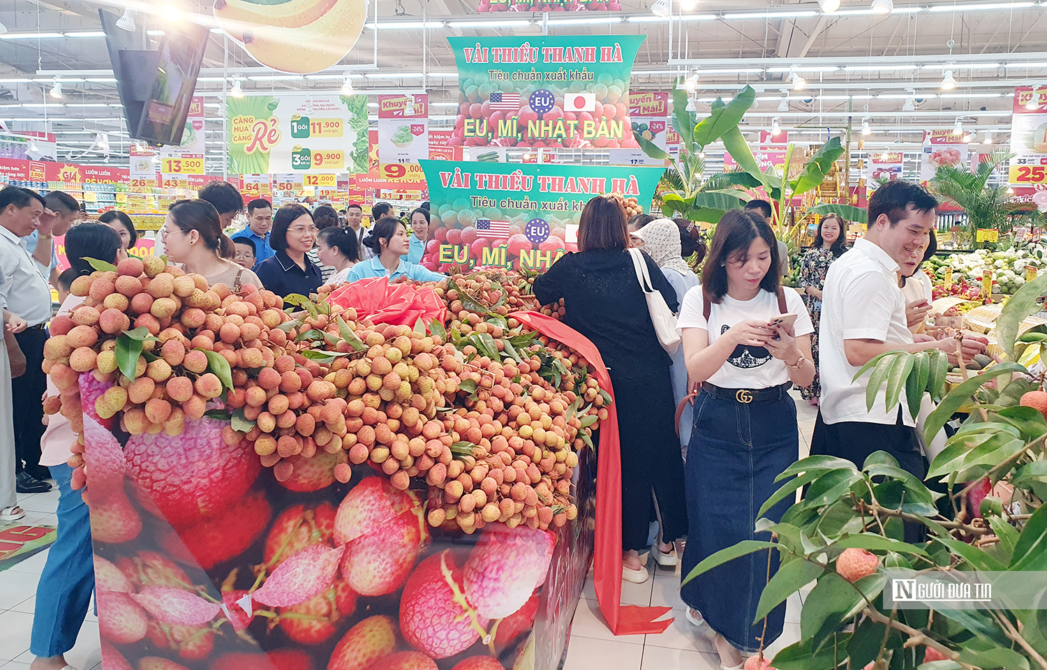 Vải Hải Dương lên kệ siêu thị tại Hải Phòng- Ảnh 1. Vải Hải Dương lên kệ siêu thị tại Hải Phòng- Ảnh 1.