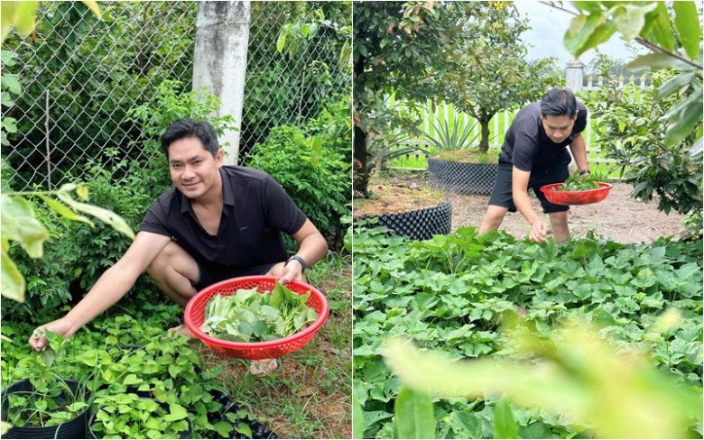 "Trai quê miền Tây" 40 tuổi sở hữu nhà vườn 3.000m2, cùng nhiều tài sản giá trị, rộ tin sắp cưới vợ đẹp?- Ảnh 8. "Trai quê miền Tây" 40 tuổi sở hữu nhà vườn 3.000m2, cùng nhiều tài sản giá trị, rộ tin sắp cưới vợ đẹp?- Ảnh 8.