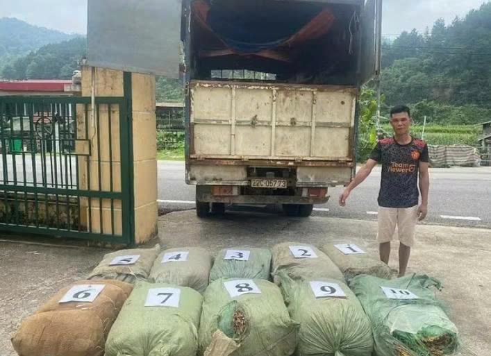 Phát hiện, thu giữ hơn 1 tấn nguyên liệu thuốc lá tại Cao Bằng- Ảnh 1. Phát hiện, thu giữ hơn 1 tấn nguyên liệu thuốc lá tại Cao Bằng- Ảnh 1.