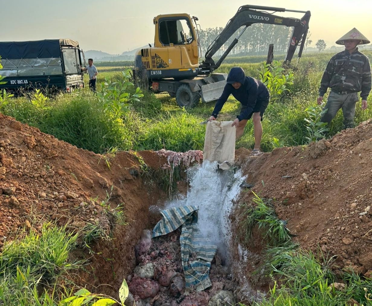 Nghệ An xử phạt hơn 174 tỷ đồng hành vi buôn lậu, gian lận thương mại và hàng giả- Ảnh 2.