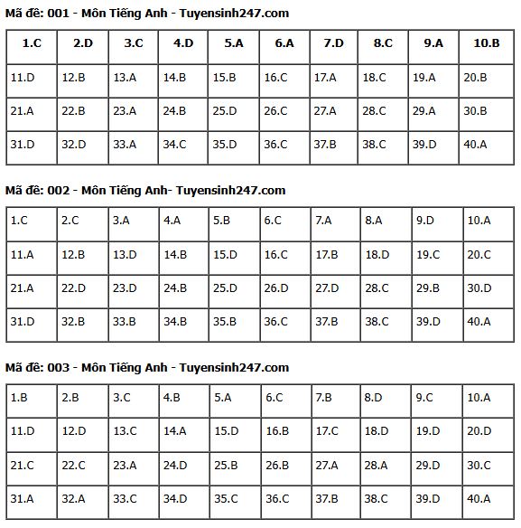 Gợi ý đáp án môn Tiếng Anh thi vào lớp 10 tại Hà Nội năm 2025 tất cả 24 mã đề- Ảnh 5.