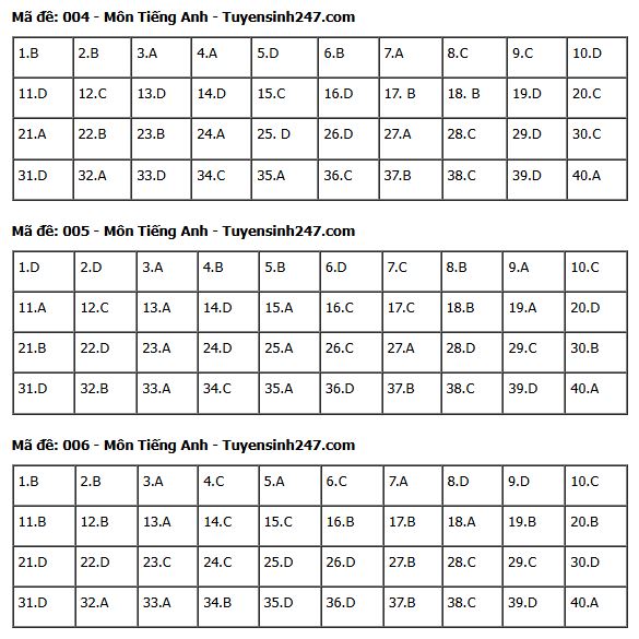 Gợi ý đáp án môn Tiếng Anh thi vào lớp 10 tại Hà Nội năm 2025 tất cả 24 mã đề- Ảnh 6.