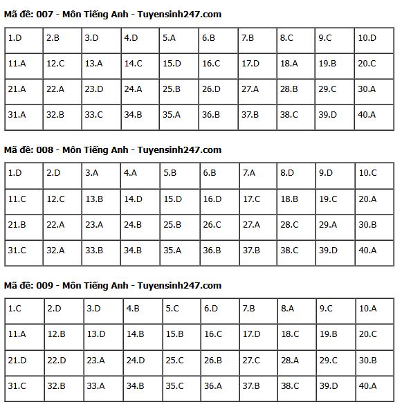 Gợi ý đáp án môn Tiếng Anh thi vào lớp 10 tại Hà Nội năm 2025 tất cả 24 mã đề- Ảnh 7.