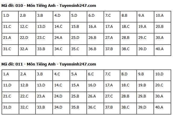 Gợi ý đáp án môn Tiếng Anh thi vào lớp 10 tại Hà Nội năm 2025 tất cả 24 mã đề- Ảnh 8.