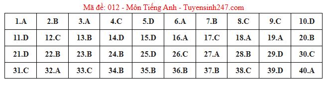 Gợi ý đáp án môn Tiếng Anh thi vào lớp 10 tại Hà Nội năm 2025 tất cả 24 mã đề- Ảnh 9. Gợi ý đáp án môn Tiếng Anh thi vào lớp 10 tại Hà Nội năm 2025 tất cả 24 mã đề- Ảnh 9.