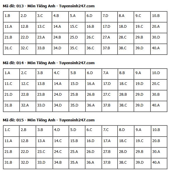 Gợi ý đáp án môn Tiếng Anh thi vào lớp 10 tại Hà Nội năm 2025 tất cả 24 mã đề- Ảnh 10.