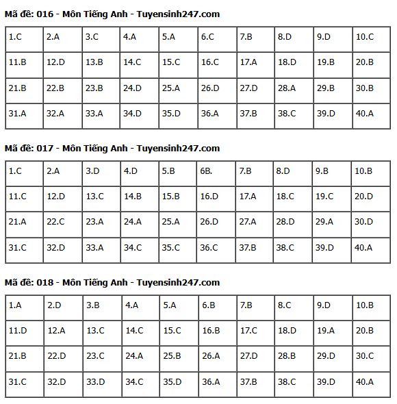 Gợi ý đáp án môn Tiếng Anh thi vào lớp 10 tại Hà Nội năm 2025 tất cả 24 mã đề- Ảnh 11.