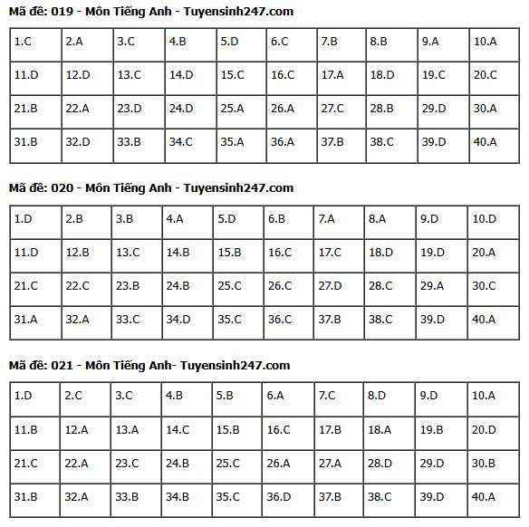 Gợi ý đáp án môn Tiếng Anh thi vào lớp 10 tại Hà Nội năm 2025 tất cả 24 mã đề- Ảnh 12.