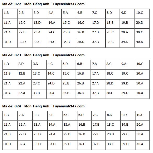 Gợi ý đáp án môn Tiếng Anh thi vào lớp 10 tại Hà Nội năm 2025 tất cả 24 mã đề- Ảnh 13.