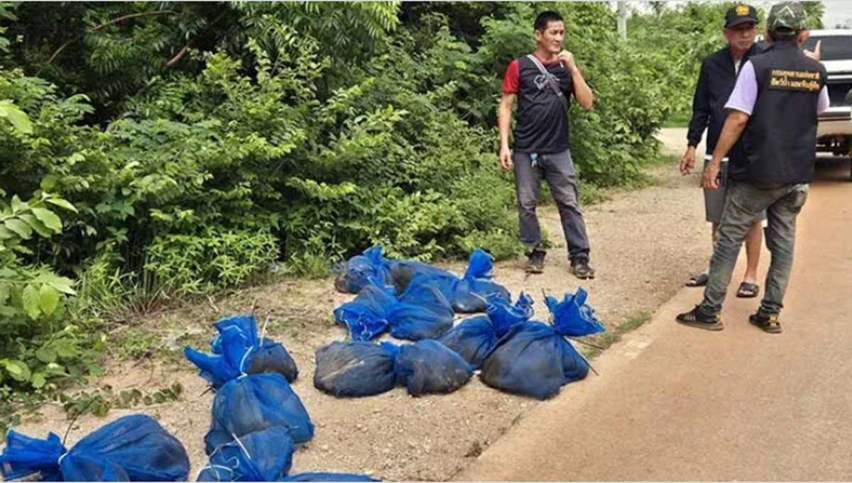 Phát hiện 25 chiếc túi lạ trong rừng, mở ra thấy cảnh tượng "nổi da gà"- Ảnh 1. Phát hiện 25 chiếc túi lạ trong rừng, mở ra thấy cảnh tượng "nổi da gà"- Ảnh 1.