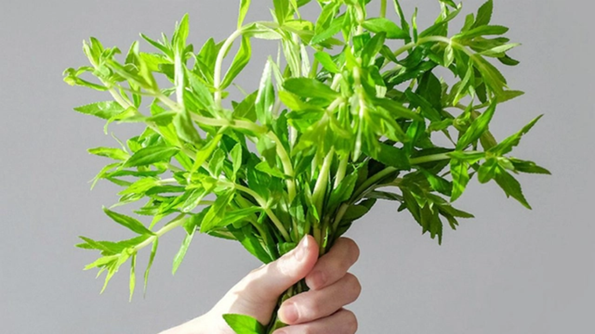 2 loại rau dễ là nơi "tổ ký sinh trùng" ẩn náu, loại đầu bảng nhìn quá quen - Ảnh 1.