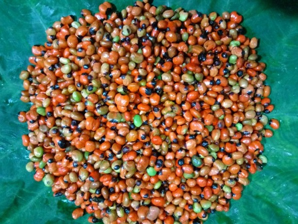 Loại hạt đắt đỏ bậc nhất thế giới, giá 240 triệu đồng/kg, chỉ duy nhất Việt Nam mới có - Ảnh 7.